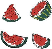 the red watermelon vector