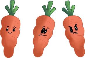 The three carrots vector