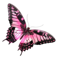Pink butterfly with black wings on transparent background png