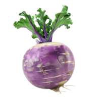 a turnip on a transparent background png