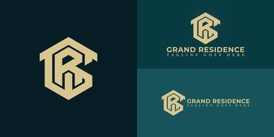 Abstract initial hexagon letters GR or RG logo in gold color isolated on multiple background colors. The logo is suitable for real estate development company logo design illustration inspiration. vector