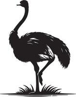 Ostrich silhouette illustration Design vector