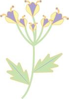 Hand Drawn Floral Botanical Branch. with Flat Cartoon Design Style. Isolated on White Background. vector