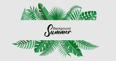 Tropical background with leaves. illustration for your design. vector