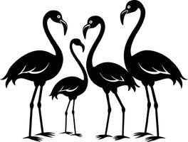 set of flamingo illustration vector