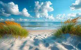 Grass and dunes on the white sand beach photo