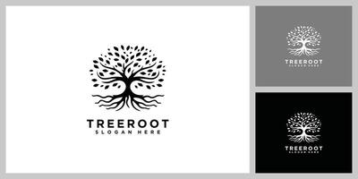 tree and root design template vector