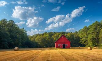 Red barn and hay bales in field. A red barn stands alone in the middle of an open field photo