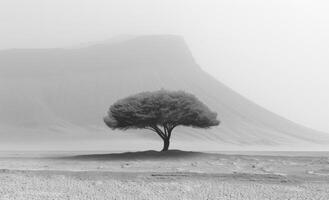 Tree stands alone in the desert. Minimalist desert landscape photo