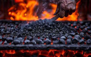 Man is grilling charcoal on grill with knife. A photo of black coals being placed inside an iron forge