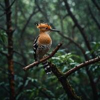 Sparrow, Eagle, Hawk, Owl, Pigeon, Crow, Robin, Parrot, Penguin, Flamingo, Swan, Hummingbird, Peacock, Woodpecker, Seagull, Toucan, Canary, Finch, Peli sitting on a branch in the natural green forest photo