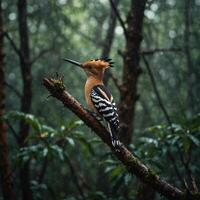 Sparrow, Eagle, Hawk, Owl, Pigeon, Crow, Robin, Parrot, Penguin, Flamingo, Swan, Hummingbird, Peacock, Woodpecker, Seagull, Toucan, Canary, Finch, Peli sitting on a branch in the natural green forest photo