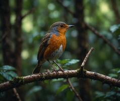 Sparrow, Eagle, Hawk, Owl, Pigeon, Crow, Robin, Parrot, Penguin, Flamingo, Swan, Hummingbird, Peacock, Woodpecker, Seagull, Toucan, Canary, Finch, Peli sitting on a branch in the natural green forest photo