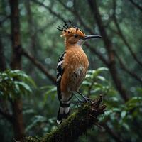 Sparrow, Eagle, Hawk, Owl, Pigeon, Crow, Robin, Parrot, Penguin, Flamingo, Swan, Hummingbird, Peacock, Woodpecker, Seagull, Toucan, Canary, Finch, Peli sitting on a branch in the natural green forest photo