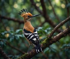 Sparrow, Eagle, Hawk, Owl, Pigeon, Crow, Robin, Parrot, Penguin, Flamingo, Swan, Hummingbird, Peacock, Woodpecker, Seagull, Toucan, Canary, Finch, Peli sitting on a branch in the natural green forest photo