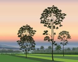 Sunset silhouette three with orange and grey sky. Illustration for background design. vector