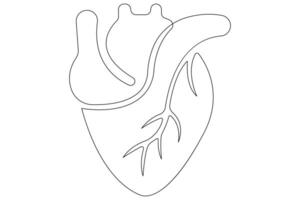 Continuous one line of human heart drawing Anatomical heart outline illustration vector