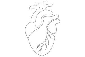Continuous one line of human heart drawing Anatomical heart outline illustration vector