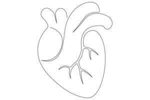 Continuous one line of human heart drawing Anatomical heart outline illustration vector