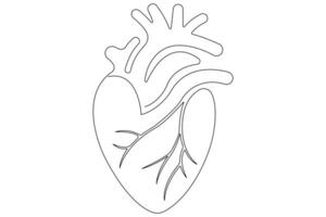 Continuous one line of human heart drawing Anatomical heart outline illustration vector