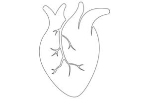 Continuous one line of human heart drawing Anatomical heart outline illustration vector