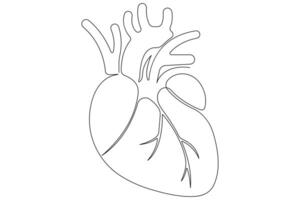 Continuous one line of human heart drawing Anatomical heart outline illustration vector