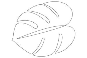 Leaf monstera continuous one line art drawing of outline illustration vector