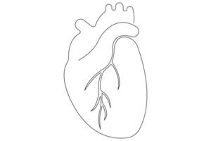 Continuous one line of human heart drawing Anatomical heart outline illustration vector