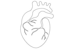Continuous one line of human heart drawing Anatomical heart outline illustration vector