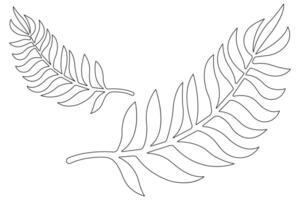 illustration continuous one line drawing of outline palm leaf design vector