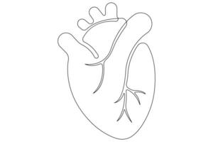 Continuous one line of human heart drawing Anatomical heart outline illustration vector