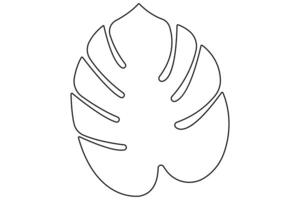 Leaf monstera continuous one line art drawing of outline illustration vector