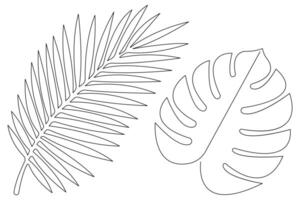 illustration continuous one line drawing of outline palm leaf design vector