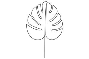 Leaf monstera continuous one line art drawing of outline illustration vector