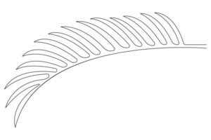 illustration continuous one line drawing of outline palm leaf design vector