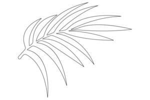 illustration continuous one line drawing of outline palm leaf design vector