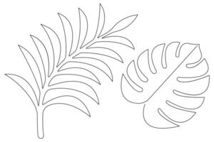 illustration continuous one line drawing of outline palm leaf design vector