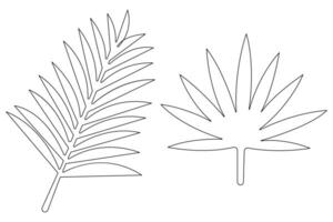 illustration continuous one line drawing of outline palm leaf design vector