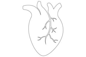 Continuous one line of human heart drawing Anatomical heart outline illustration vector