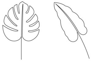 illustration continuous one line drawing of outline palm leaf design vector