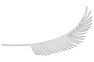 illustration continuous one line drawing of outline palm leaf design vector