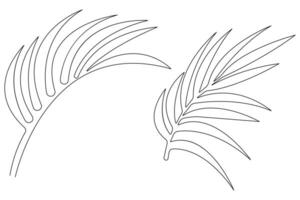 illustration continuous one line drawing of outline palm leaf design vector