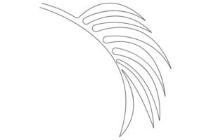 illustration continuous one line drawing of outline palm leaf design vector