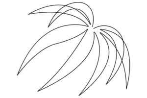 illustration continuous one line drawing of outline palm leaf design vector