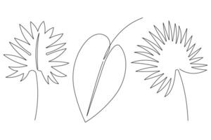 illustration continuous one line drawing of outline palm leaf design vector