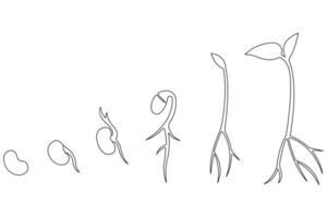 Continuous single line art drawing of plant growth processing from seed outline vector