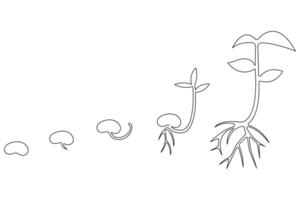 Continuous single line art drawing of plant growth processing from seed outline vector