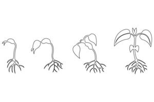 Continuous single line art drawing of plant growth processing from seed outline vector