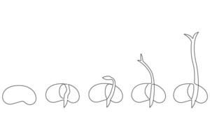 Continuous single line art drawing of plant growth processing from seed outline vector