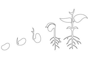 Continuous single line art drawing of plant growth processing from seed outline vector